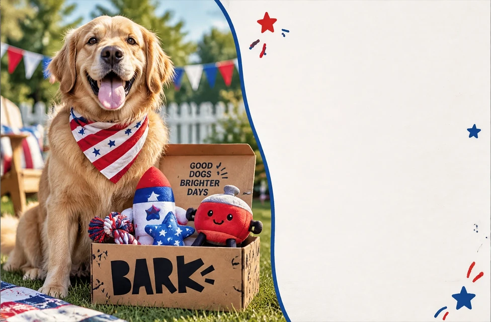 The BARK 4th of July popup, still version