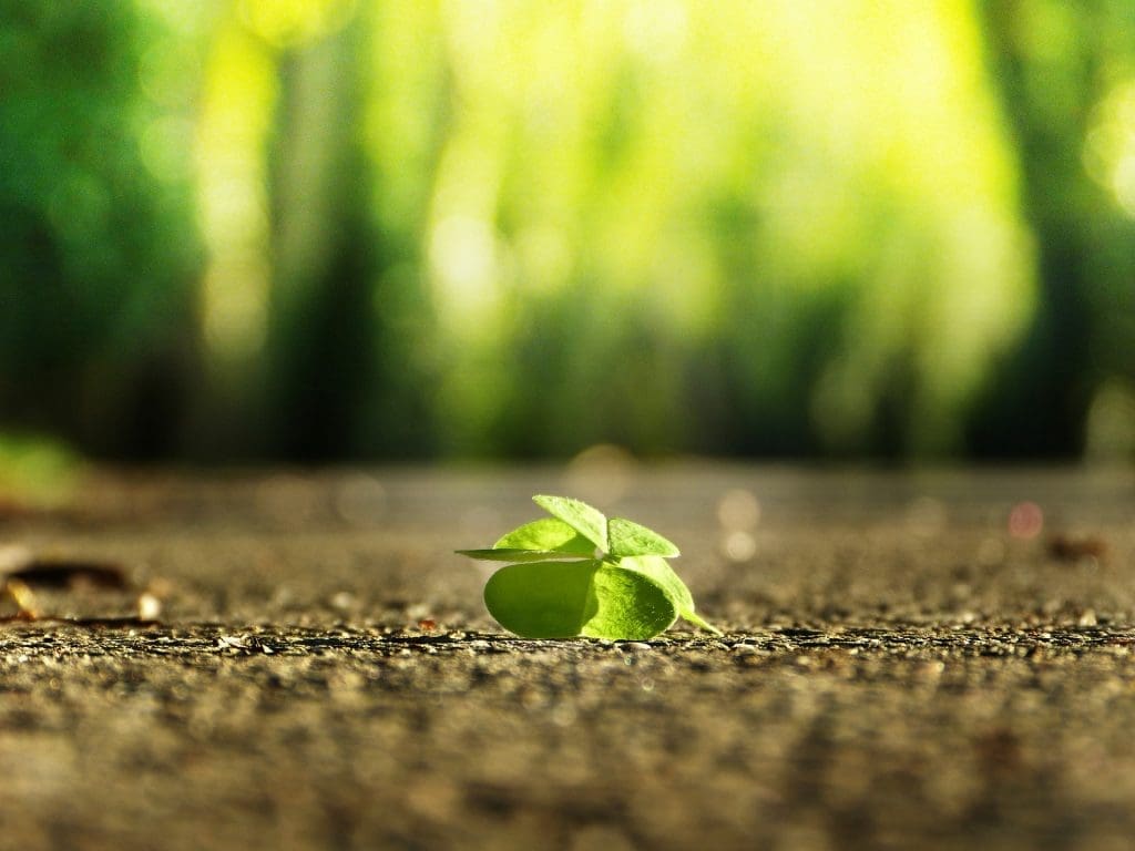Get More From Your Website With Conversion Optimization