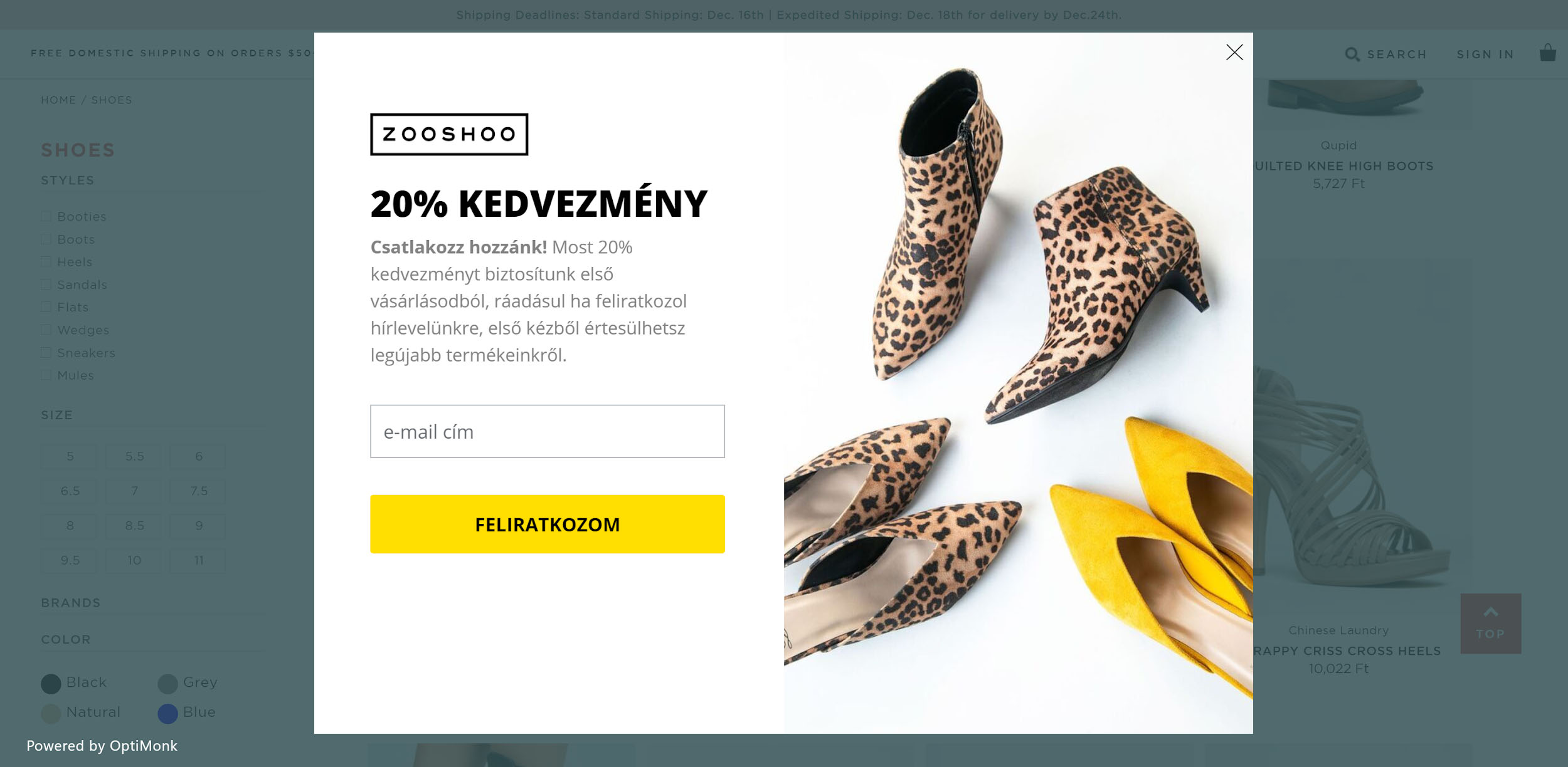Hogyan szerzett több mint 56.000 hírlevél feliratkozót egy cipő webáruház? zooshoo hu 4 - Hogyan szerzett több mint 56.000 hírlevél feliratkozót egy cipő webáruház?