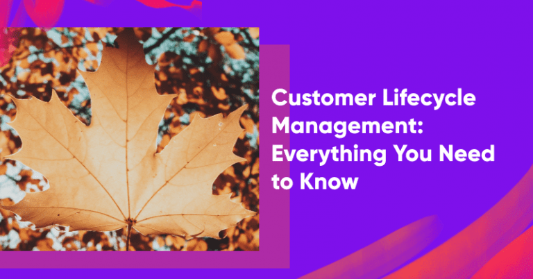 Ecommerce customer lifecycle management banner 768x402 - Ecommerce