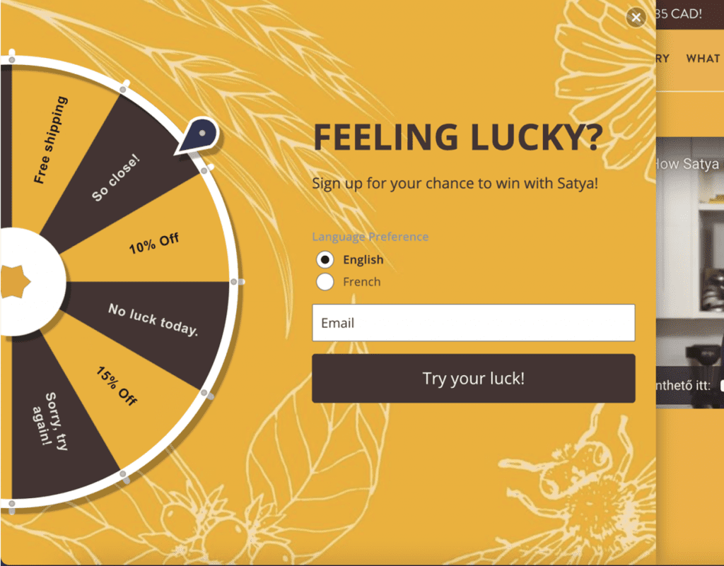 What is a Lightbox Popup And How to Create One for Maximum Engagement