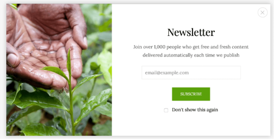 10 Best OptinMonster Alternatives for 2023 optinmonster alternatives popup maker - 10 Best OptinMonster Alternatives for 2023