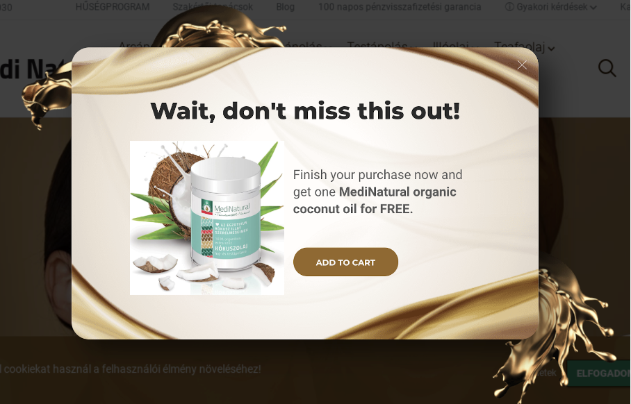 popup guide 09 - The Ultimate Guide to Creating High-Converting Popups